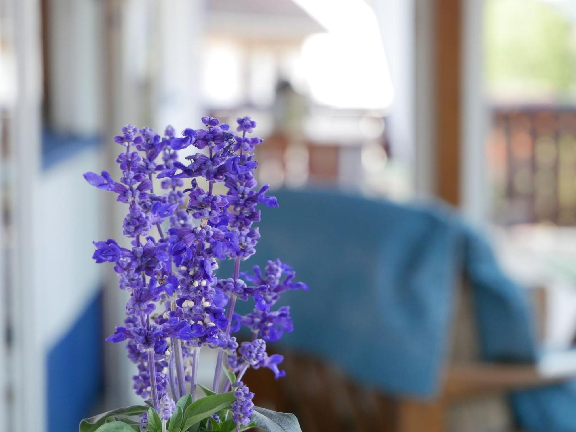 Haus Camino Apartment Löffingen Екстериор снимка